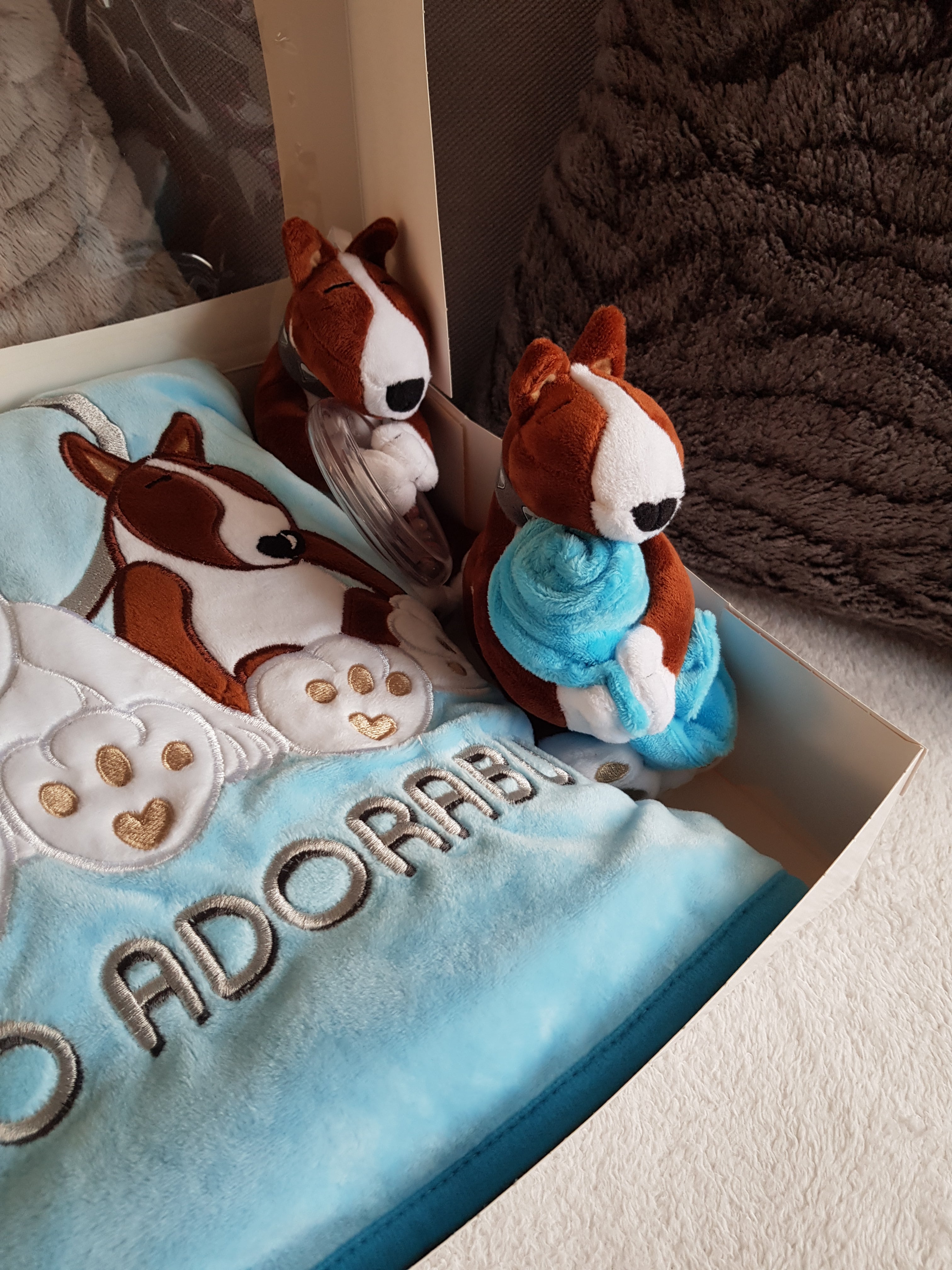 GINGER • Gift Box Blue