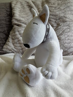 GAZZA • 35cm