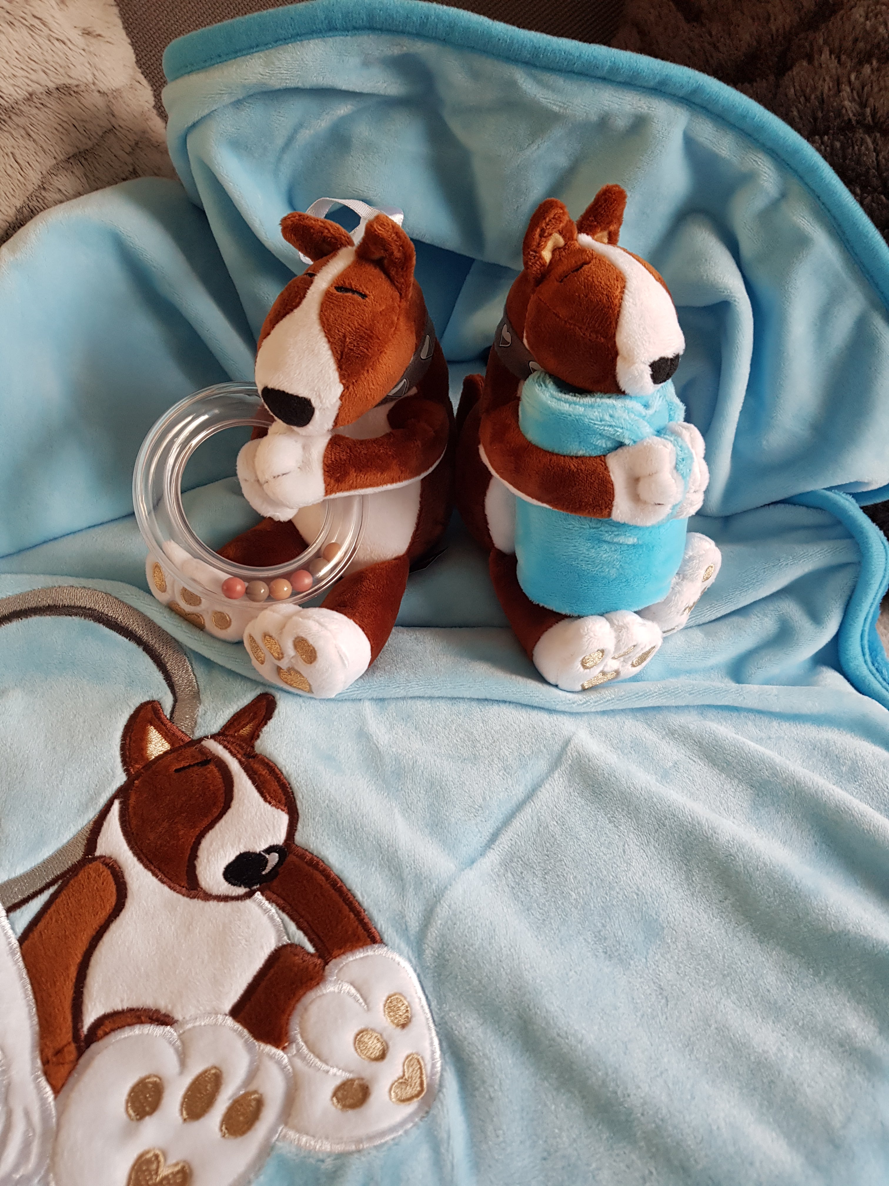 GINGER • Gift Box Blue