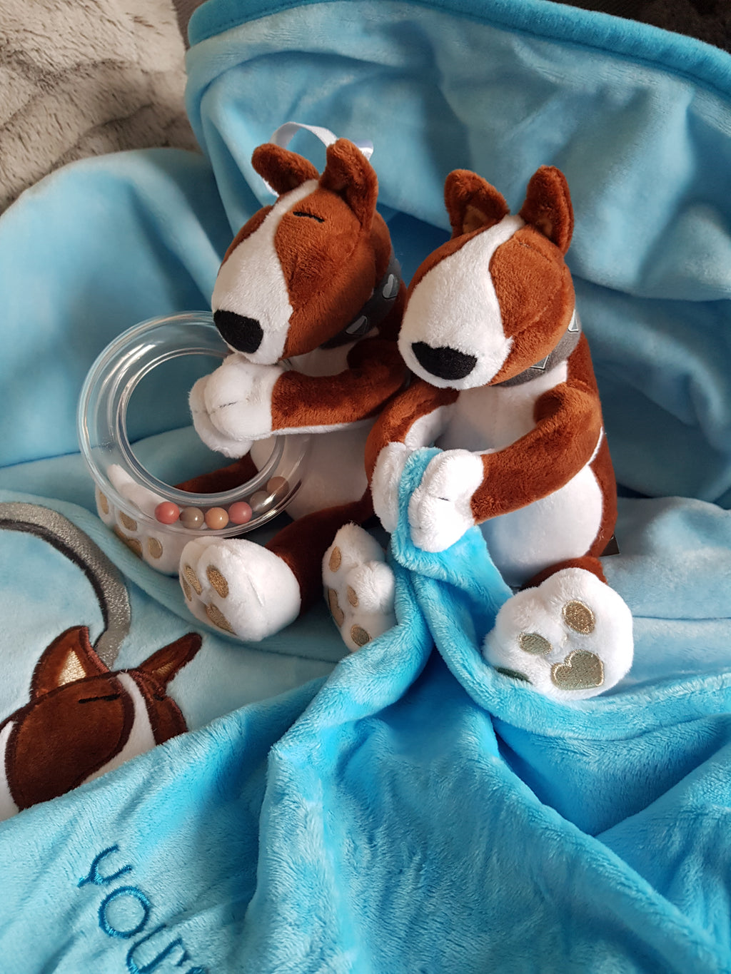GINGER • Gift Box Blue